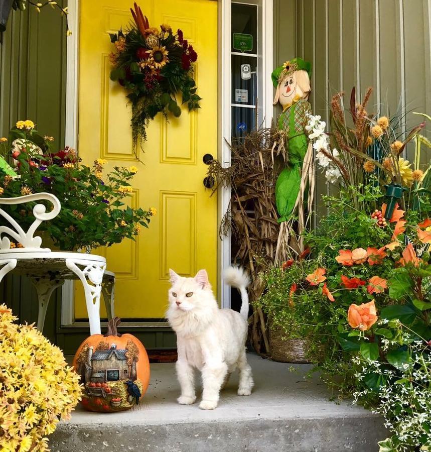 Yellow Door Bed And Breakfast Fort Erie Exterior photo